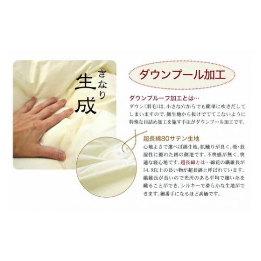 ふるさと納税 タオル・寝具 掛け布団 三重県 松阪市 ザ・羽毛布団 プレミアムゴールドラベル クイーン 210×210cm ポーランド産ホワイトマザーグースダウン95…の画像