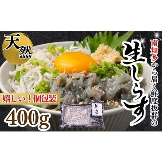 ふるさと納税 魚貝類 しらす 愛知県 南知多町 生しらす(お刺身) 約400g(100g×4個) 岬だより 生しらすお刺身 400g(100g×4):9,000円