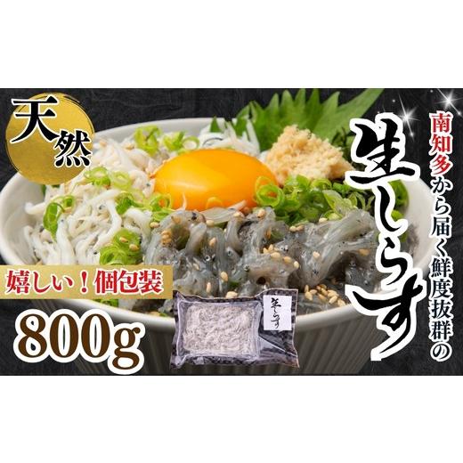 ふるさと納税 魚貝類 しらす 愛知県 南知多町 生しらす(お刺身) 約800g(100g×8個) 岬だより 生しらすお刺身 800g(100g×8):15,000円