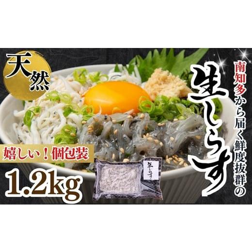 ふるさと納税 魚貝類 しらす 愛知県 南知多町 生しらす(お刺身) 約1.2kg(100g×12個) 岬だより 生しらすお刺身 1.2kg(100g×12):22,000円