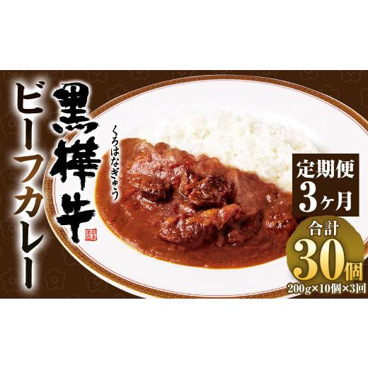 公式 グッズ ふるさと納税 熊本県 相良村 【3ヶ月定期便】黒樺牛ビーフカレー200g×10パック 【Z1135462020】(40000円)
