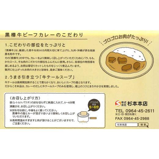 公式 グッズ ふるさと納税 熊本県 相良村 【3ヶ月定期便】黒樺牛ビーフカレー200g×10パック 【Z1135462020】(40000円)