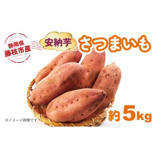ふるさと納税 野菜類 サツマイモ 静岡県 藤枝市 2025年11月〜順次発送予定 さつまいも 安納芋 約5kg 期間限定 期間限定 サツマイモ 焼き芋 イモ 芋 いも 野菜…