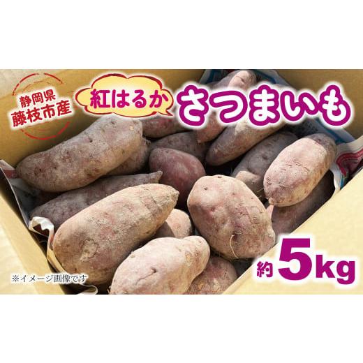 ふるさと納税 野菜類 サツマイモ 静岡県 藤枝市 2025年11月〜順次発送予定 さつまいも 紅はるか 約5kg 期間限定 サツマイモ 焼き芋 イモ 芋 いも 野菜 健康 …