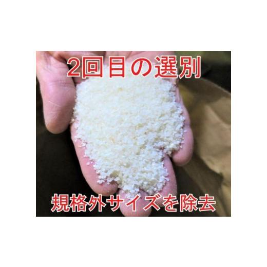 ふるさと納税 秋田県 大仙市 15kg（5kg×3）大手有名百貨店出荷米 あきたこまち 令和5年産米｜furusatochoice｜03