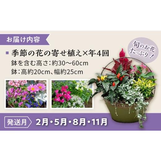 ふるさと納税 花・苗木 長崎県 大村市 4回定期便 おまかせ 季節の 寄せ植え プランター ／ 観葉植物 鉢植え 鉢 植物 花 フラワー 旬 育てやすい 寄せ植え お…_2