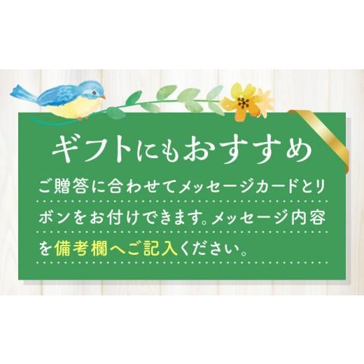 ふるさと納税 花・苗木 長崎県 大村市 4回定期便 おまかせ 季節の 寄せ植え プランター ／ 観葉植物 鉢植え 鉢 植物 花 フラワー 旬 育てやすい 寄せ植え お…_7