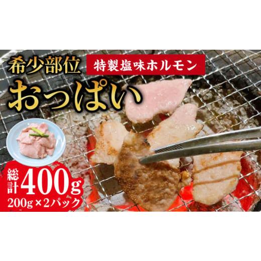 ふるさと納税 豚肉 ホルモン 長崎県 大村市 希少部位おっぱい