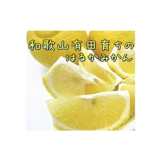 ふるさと納税 果物類 みかん 和歌山県 湯浅町 AB7098n_ 人気柑橘 有田育ちの はるか みかん 訳あり 家庭用 3kg (サイズ混合) ミカン 蜜柑 春みかん 柑橘 和歌…