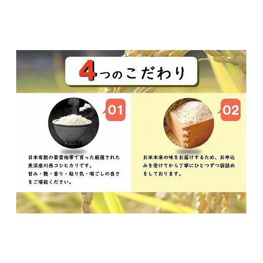 ふるさと納税 新潟県 十日町市 【数量限定】【訳あり】新潟県認証米 新潟県魚沼産 川西こしひかり10kg（5kg×2） 