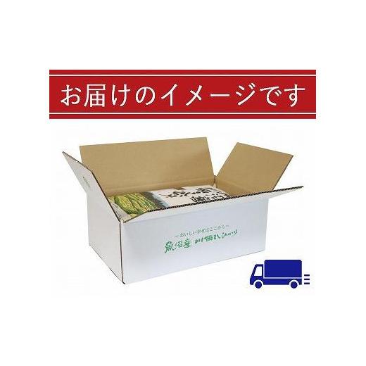 ふるさと納税 新潟県 十日町市 【数量限定】【訳あり】新潟県認証米 新潟県魚沼産 川西こしひかり10kg（5kg×2） 