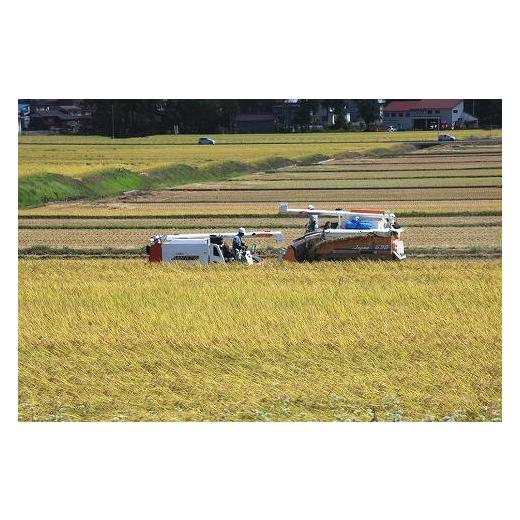 ふるさと納税 新潟県 十日町市 【数量限定】【訳あり】新潟県認証米 新潟県魚沼産 川西こしひかり10kg（5kg×2） 