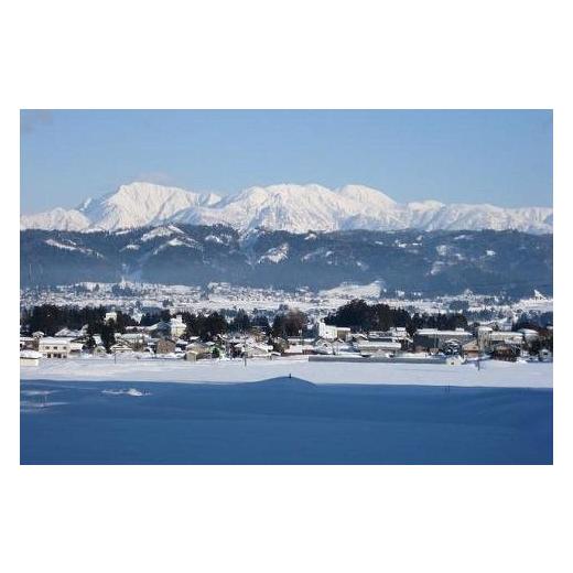 ふるさと納税 新潟県 十日町市 【数量限定】【訳あり】新潟県認証米 新潟県魚沼産 川西こしひかり10kg（5kg×2） 