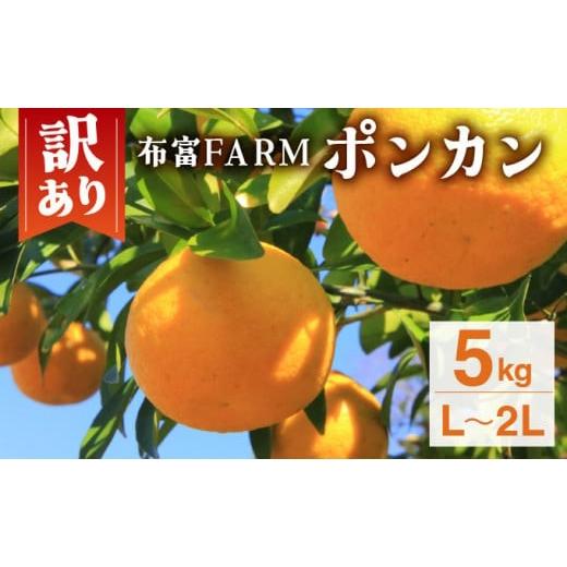 ふるさと納税 みかん・柑橘類 高知県 東洋町 先行予約 訳ありポンカン L〜2Lサイズ 5kg NT2 N-03 L〜2Lサイズ 5kg