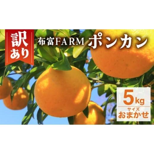 ふるさと納税 みかん・柑橘類 高知県 東洋町 先行予約 訳ありポンカン サイズおまかせ 5kg NT6 N-05 サイズおまかせ 5kg