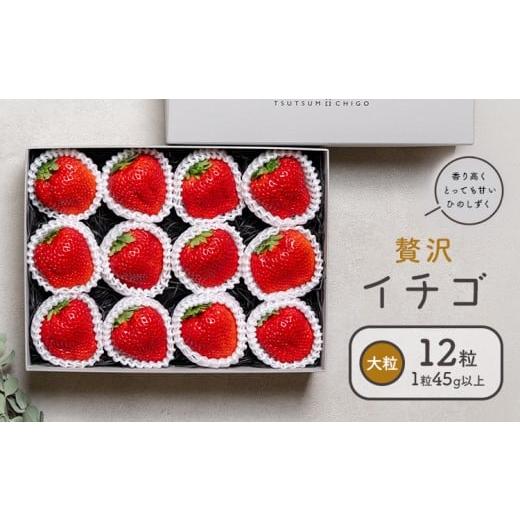ふるさと納税 いちご 熊本県 菊池市 贅沢イチゴ ひのしずく 約260g×2パック 約45g×12玉 いちご イチゴ 苺[2025年12月発送予定]ヴァリアス株式会社 果物 く…