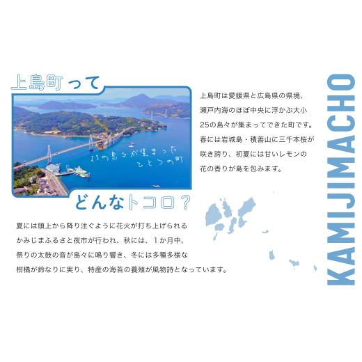 ふるさと納税 食器・グラス 愛媛県 上島町 備前焼 フリーカップ(中)・サンギリ f1-001の画像