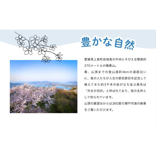 ふるさと納税 食器・グラス 愛媛県 上島町 備前焼 フリーカップ(中)・サンギリ f1-001の画像
