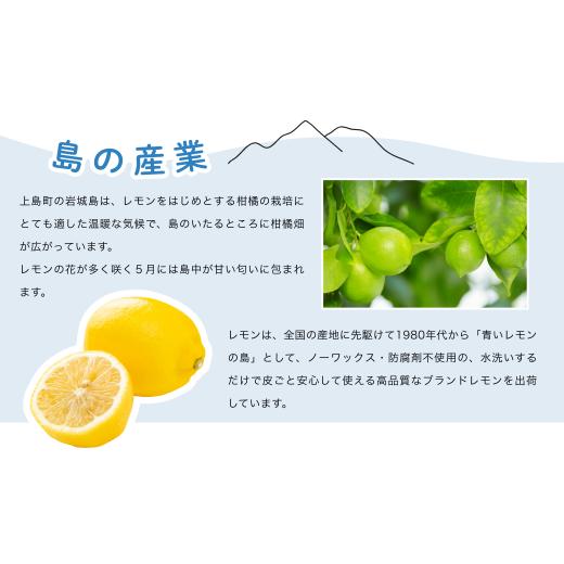 ふるさと納税 食器・グラス 愛媛県 上島町 備前焼 フリーカップ(中)・サンギリ f1-001の画像