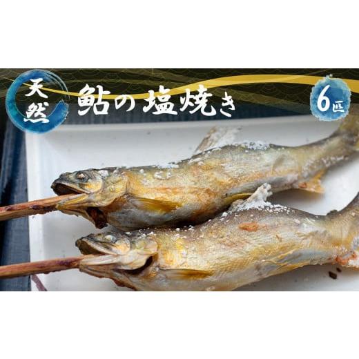 ふるさと納税 奈良県 五條市 天然鮎の塩焼き 6匹 (あかねや) [冷凍]
