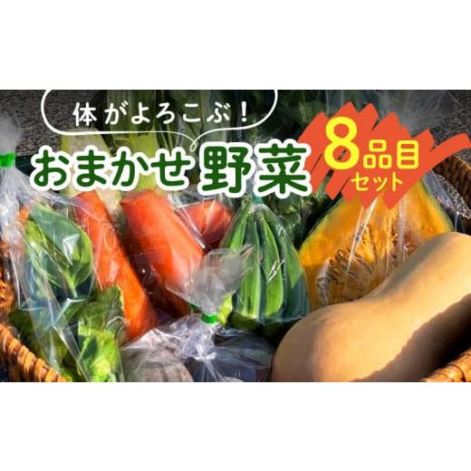 ふるさと納税 福岡県 久留米市 体がよろこぶ!おまかせ野菜8品目セット