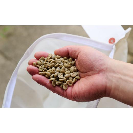 ふるさと納税 コーヒー ドリップ 佐賀県 神埼市 LAJA神埼ブレンドスペシャリティセット3種類 3回定期便 豆200g×3袋  コーヒー ブレンド 珈琲 ホットコーヒー…の画像