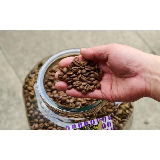 ふるさと納税 コーヒー ドリップ 佐賀県 神埼市 ジャコウネコ珈琲 コピ・ルアク 100g×2袋 合計200g 6回定期便 最高級豆 幻のコーヒー (H070107)の画像