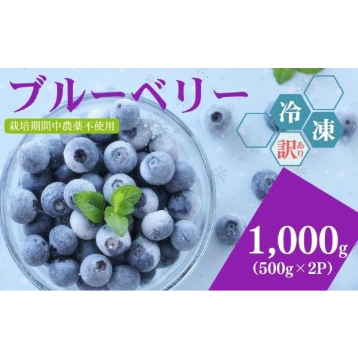 ふるさと納税 果物類 埼玉県 加須市 訳あり シルクファーム産 冷凍ブルーベリー 1000g(500g×2パック) 訳あり 冷凍ブルーベリー 1000g(500g×2パック)