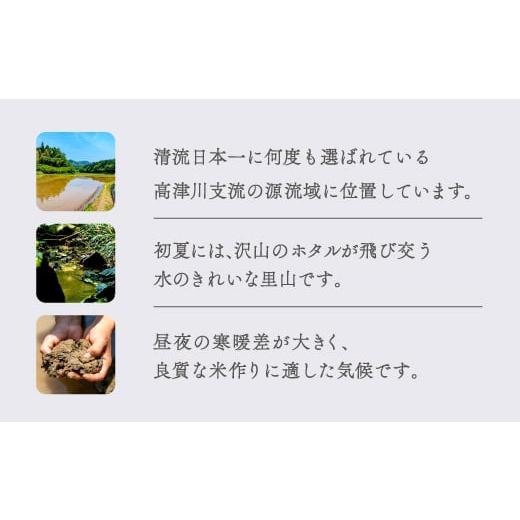 ふるさと納税 島根県 益田市 【使い切りサイズ】横尾衛門のきぬむすめ 白米2合(300ｇ)×6袋【米 お米 白米 精米 ブランド米 きぬむすめ 絹娘 小分け 使い切り …｜furusatochoice｜08