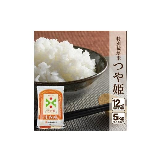 【中古品 】 ふるさと納税 山形県 酒田市 SJ0019　【12回定期便】特別栽培米 つや姫　5kg×12回(計60kg) JM 【YWU1158170869】(40800円)