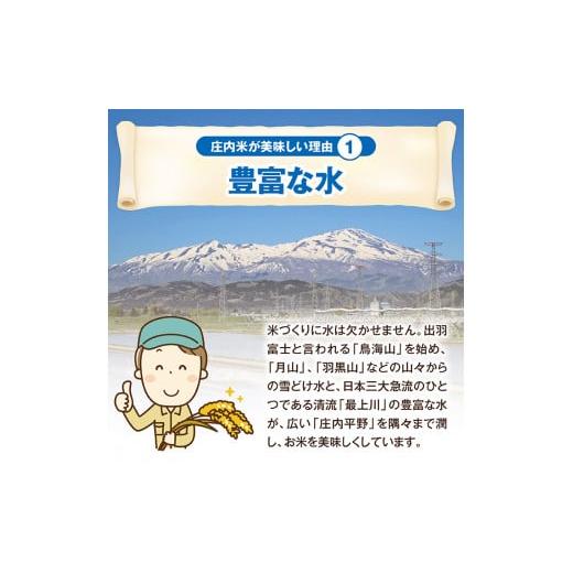 【中古品 】 ふるさと納税 山形県 酒田市 SJ0019　【12回定期便】特別栽培米 つや姫　5kg×12回(計60kg) JM 【YWU1158170869】(40800円)