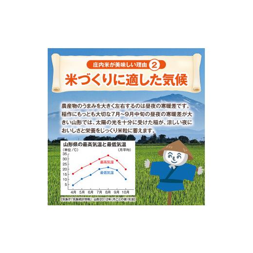 【中古品 】 ふるさと納税 山形県 酒田市 SJ0019　【12回定期便】特別栽培米 つや姫　5kg×12回(計60kg) JM 【YWU1158170869】(40800円)
