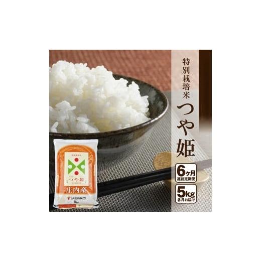 ふるさと納税 米 つや姫 山形県 酒田市 6ヶ月定期便 特別栽培米 つや姫 5kg×6ヶ月 計30kg 山形県庄内産 ご希望期間の毎月下旬頃にお届け 東北 酒田市 庄内地…