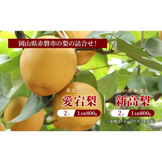 ふるさと納税 梨 岡山県 赤磐市 梨 2025年 岡山県赤磐市 梨の詰合せ 愛宕梨 2玉・新高梨 2玉 合計約3.2kg フルーツ なし 果物 岡山のフルーツ 岡山の果物 国産…