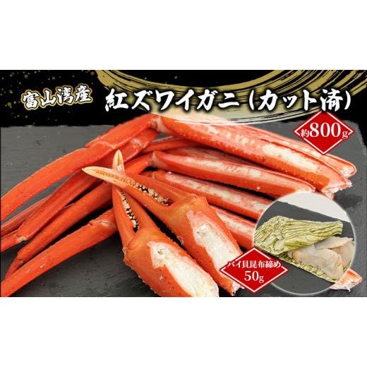 ふるさと納税 魚貝類 富山県 黒部市 富山湾産カニ バイ貝朧昆布締めセット タグ付き紅ズワイガニ 大サイズ 贈答 自分にご褒美 カット済 漁師直販 恵比須丸 海…