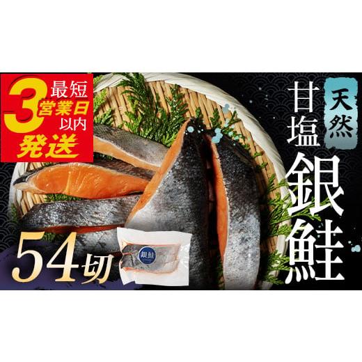 ふるさと納税 魚貝類 鮭 北海道 釧路市 銀鮭 3切×18ハ?ック 計54切れ 朝ごはんやお弁当に 銀鮭 54切れ 真空保存 甘塩 天然 銀鮭 鮭 しゃけ サケ さけ ご飯の…