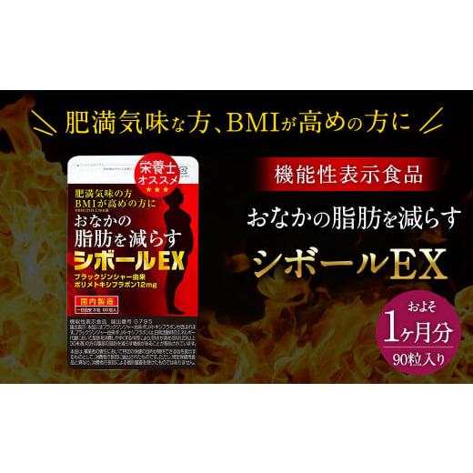 ふるさと納税 福岡県 直方市 ≪ 機能性表示食品 ≫おなかの脂肪を減らす シボールEX 1袋