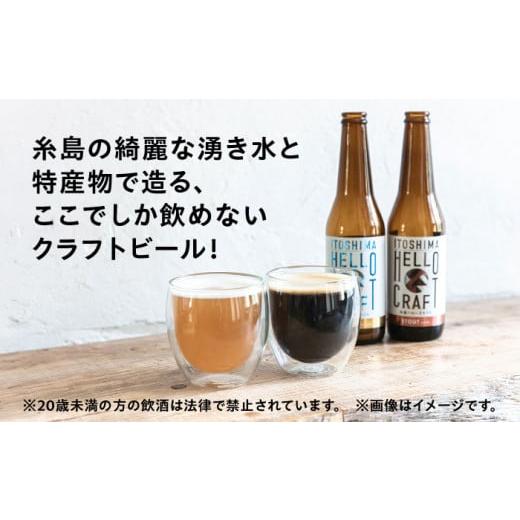 ふるさと納税 ビール 地ビール 福岡県 糸島市  全6回定期便 3種 飲み比べ 糸島 クラフト ビール 瓶 詰め合わせ 6本 セット 糸島市 ／ HELLO BREWERY 地ビール …の画像