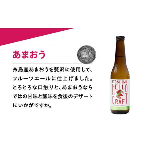 ふるさと納税 ビール 地ビール 福岡県 糸島市  全6回定期便 3種 飲み比べ 糸島 クラフト ビール 瓶 詰め合わせ 6本 セット 糸島市 ／ HELLO BREWERY 地ビール …の画像