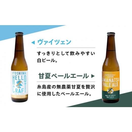 ふるさと納税 ビール 地ビール 福岡県 糸島市  全6回定期便 3種 飲み比べ 糸島 クラフト ビール 瓶 詰め合わせ 6本 セット 糸島市 ／ HELLO BREWERY 地ビール …の画像