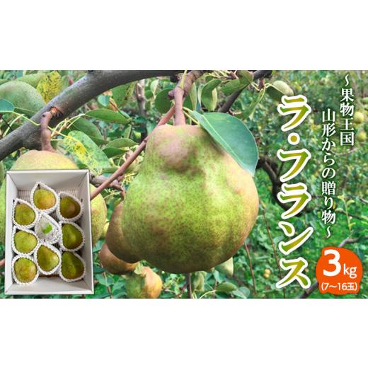 ふるさと納税 梨 山形県 山形市 〜果物王国山形からの贈り物〜ラ・フランス 秀3kg FZ26-740