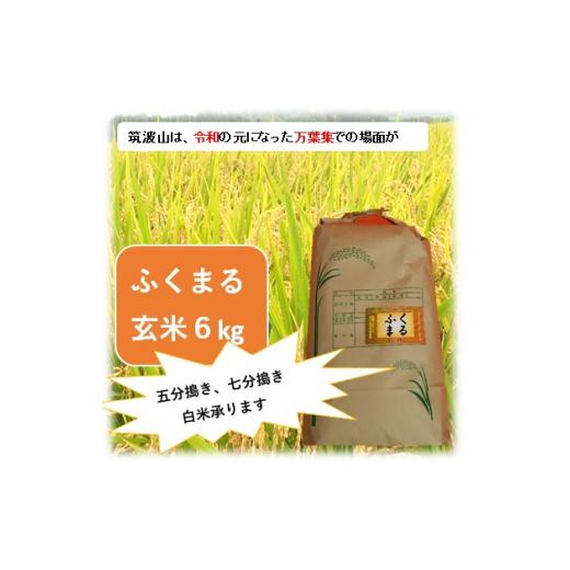 ふるさと納税 茨城県 石岡市 (G364) [令和5年産]玄米6kg ふくまる 筑波山麓厳選米