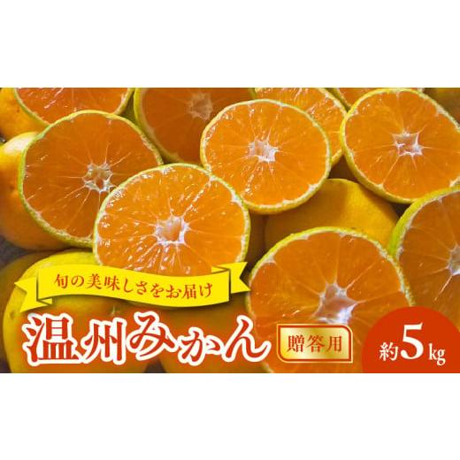ふるさと納税 果物類 みかん 熊本県 宇土市 68-131 進栄 温州みかん 贈答用 約5kg