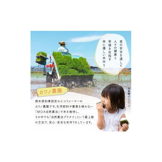 ふるさと納税 熊本県 宇土市 70-261_2　【定期便6回】カワノ農園　令和5年産米　無農薬栽培！MOA自然農法米「森のくまさん」七分搗5kg 精米方法　-　七分搗｜furusatochoice｜05