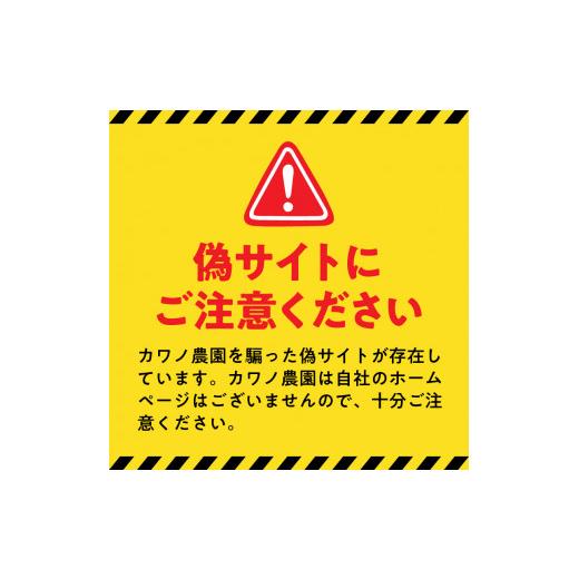 ふるさと納税 熊本県 宇土市 70-261_4　【定期便6回】カワノ農園　令和5年産米　無農薬栽培！MOA自然農法米「森のくまさん」三分搗5kg 精米方法　-　三分搗｜furusatochoice｜07