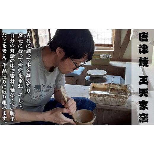 ふるさと納税 陶磁器・漆器・ガラス 佐賀県 唐津市 唐津焼 刷毛目唐津