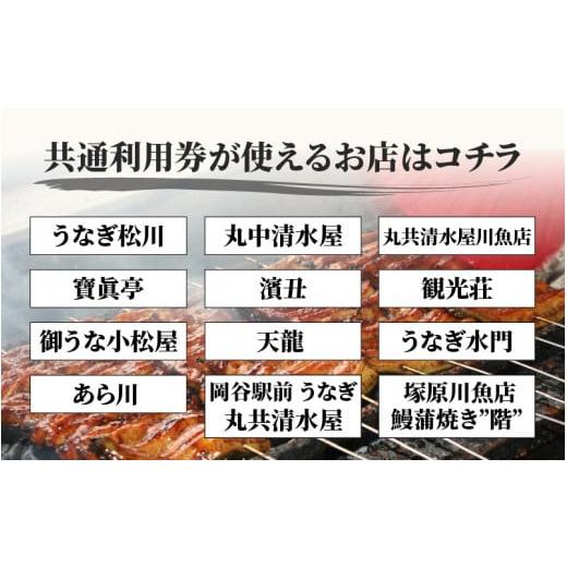 ふるさと納税 お食事券 長野県 岡谷市 「うなぎのまち岡谷」の会 食事券 共通利用券12,000円分 ｜ お食事券 鰻 うなぎ ウナギ 蒲焼き うなぎの蒲焼き うなぎ蒲… |  | 03