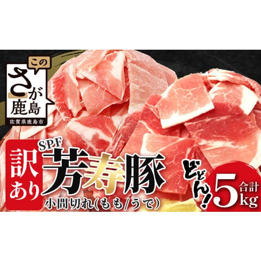 ふるさと納税 豚肉 モモ 佐賀県 鹿島市 60日以内配送 訳あり 配送月が選べる SPF芳寿豚 小間切れ大容量満足セット1kg×5袋 合計5kg 業務用サイズでボリューム…