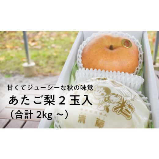 ふるさと納税 梨 岡山県 真庭市 きよとうファーム あたご梨 上級品 2玉入(1.0kg級/玉) (岡山県産) / あたご梨 愛宕梨 梨 特選品 上級品 贈り物 御歳暮 果物…