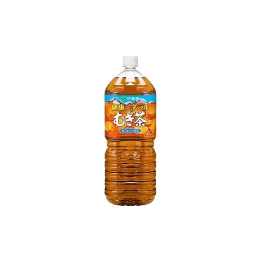 ふるさと納税 お茶類 群馬県 明和町 《定期便2ヶ月》健康ミネラルむぎ茶2L×6本 2ケース 伊藤園 むぎ茶 麦茶 ペットボトルの画像